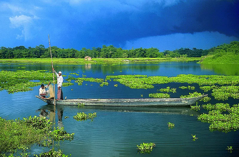 Photo of Majuli, Assam, India by Pallavi 