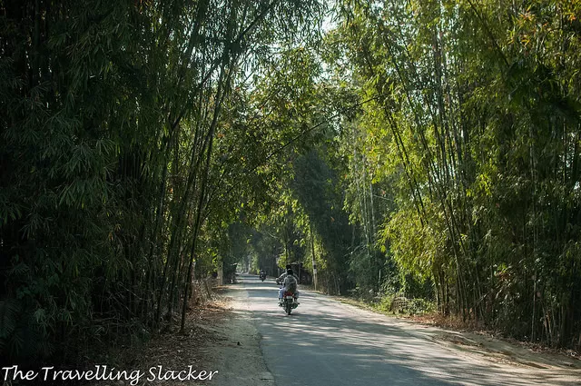 Photo of Majuli, Assam, India by Pallavi 