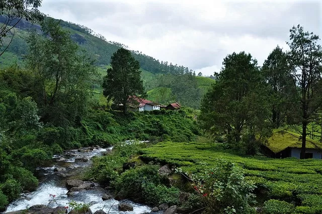 Photo of Idukki, Kerala, India by Pallavi 