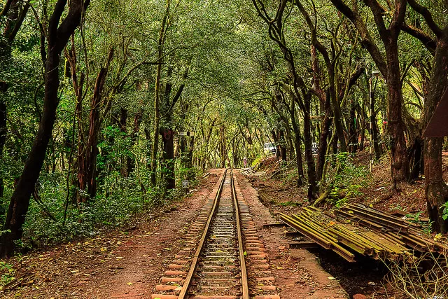 Photo of Matheran, Maharashtra, India by Pallavi 