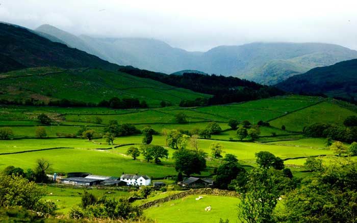 Photo of The 9 Cleanest Villages In India You Must Visit Before You Die by Pallavi Paul