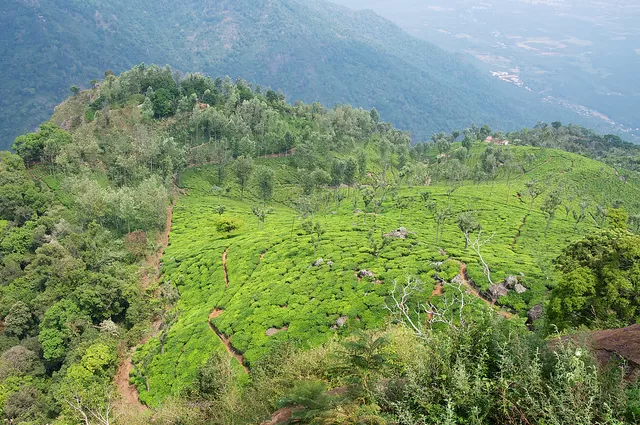 Photo of Dolphin's Nose Road, Alwarpet, Coonoor, Tamil Nadu, India by Pallavi 