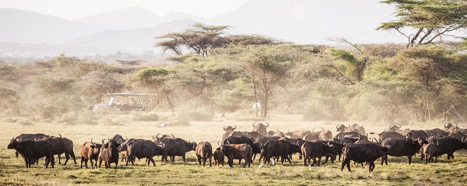 Photo of Africa Tourism Makes For The Perfect Holiday In The Wilderness: Southern Africa Vs Eastern Africa 3/11 by Pallavi Paul