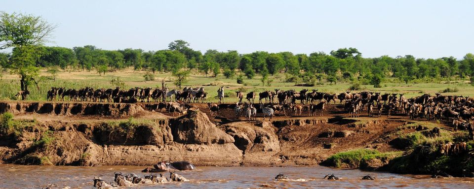 Photo of Africa Tourism Makes For The Perfect Holiday In The Wilderness: Southern Africa Vs Eastern Africa 2/11 by Pallavi Paul