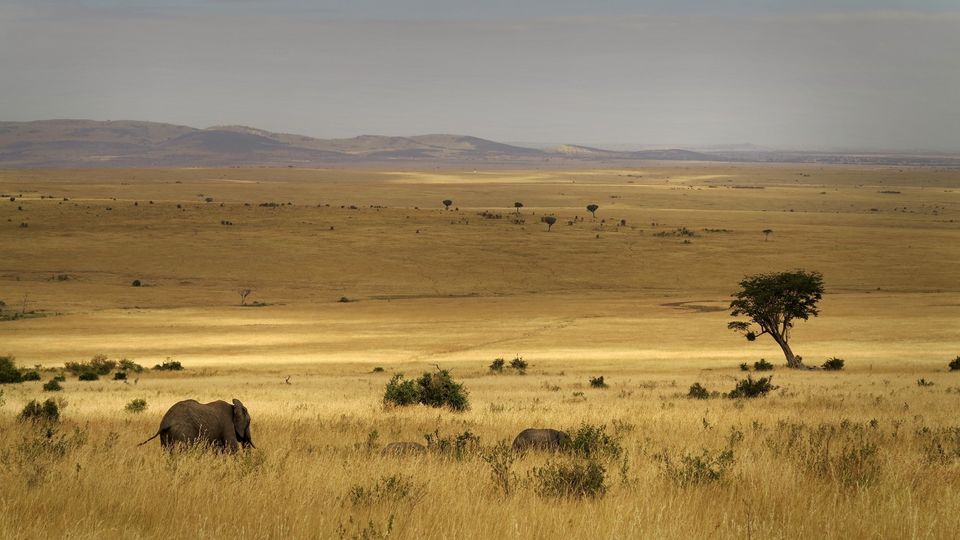 Photo of Africa Tourism Makes For The Perfect Holiday In The Wilderness: Southern Africa Vs Eastern Africa 1/11 by Pallavi Paul