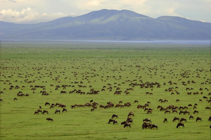Photo of Africa Tourism Makes For The Perfect Holiday In The Wilderness: Southern Africa Vs Eastern Africa 4/11 by Pallavi Paul