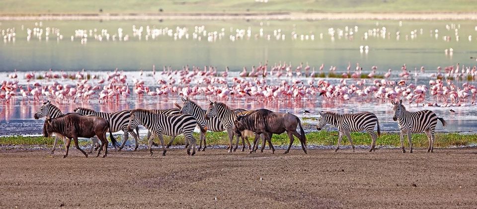 Photo of Africa Tourism Makes For The Perfect Holiday In The Wilderness: Southern Africa Vs Eastern Africa 5/11 by Pallavi Paul