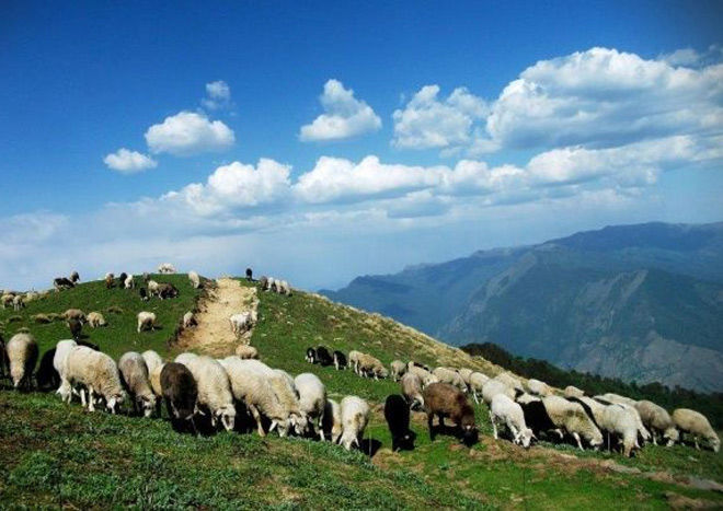 Photo of Popular Villages in Uttarakhand: Get Close to Nature 5/5 by Nikhil