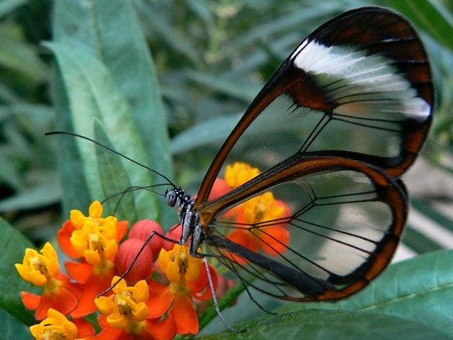 Photo of 10 Offbeat Things to Do In Goa Only For the Real Traveler 1/6 by Nikhil