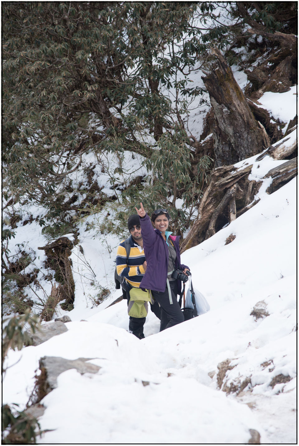 Photo of Whim of my Life- Day 2(Brahmtal Trek) 4/9 by SaMkit Jain