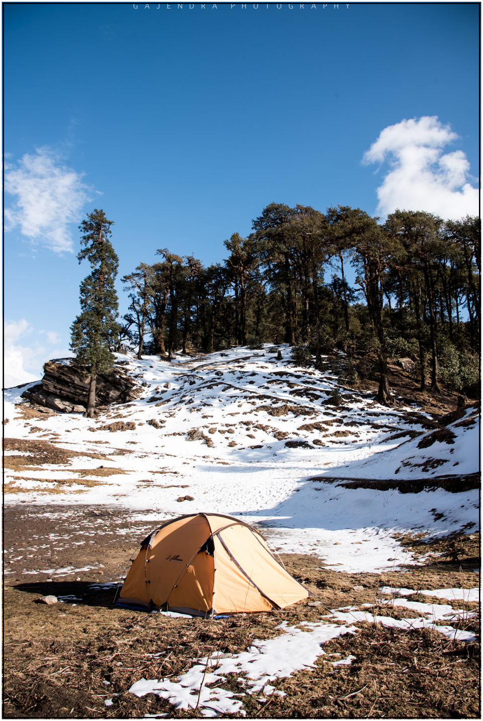 Photo of Whim of my Life- Day 2(Brahmtal Trek) 6/9 by SaMkit Jain