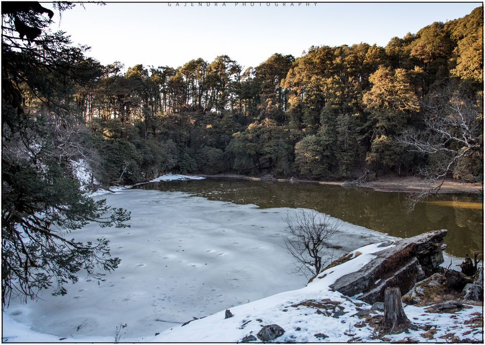 Photo of Whim of my Life- Day 2(Brahmtal Trek) 8/9 by SaMkit Jain