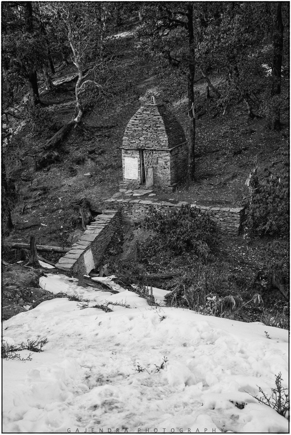Photo of Whim of my Life- Day 2(Brahmtal Trek) 7/9 by SaMkit Jain