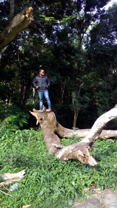 Photo of Chennai to wayanad bike ride story via Bangalore by Sruthish Panicker