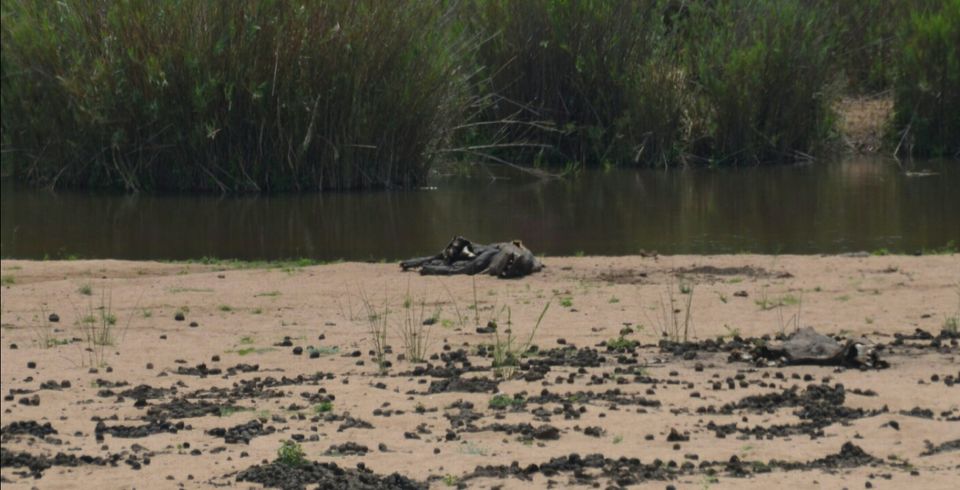 Photo of Kruger Park, Mpumalanga, South Africa by Jeroen Borst