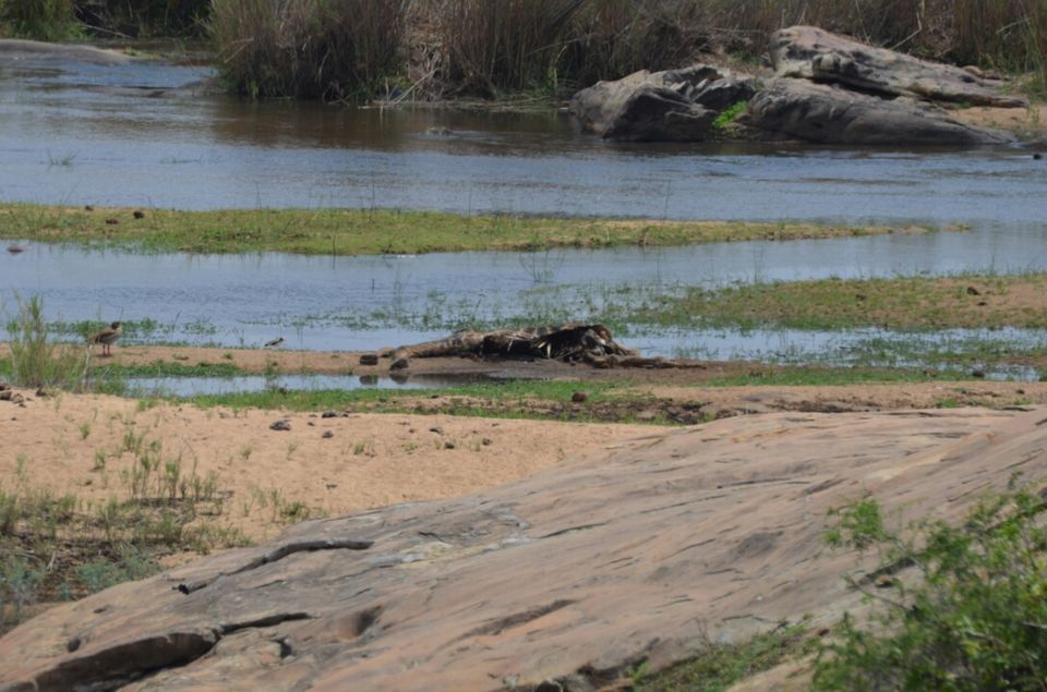 Photo of Kruger Park, Mpumalanga, South Africa by Jeroen Borst