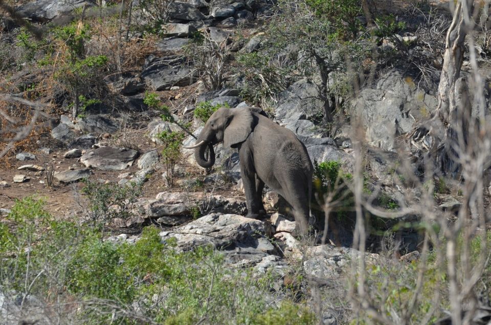 Photo of Kruger Park, Mpumalanga, South Africa by Jeroen Borst