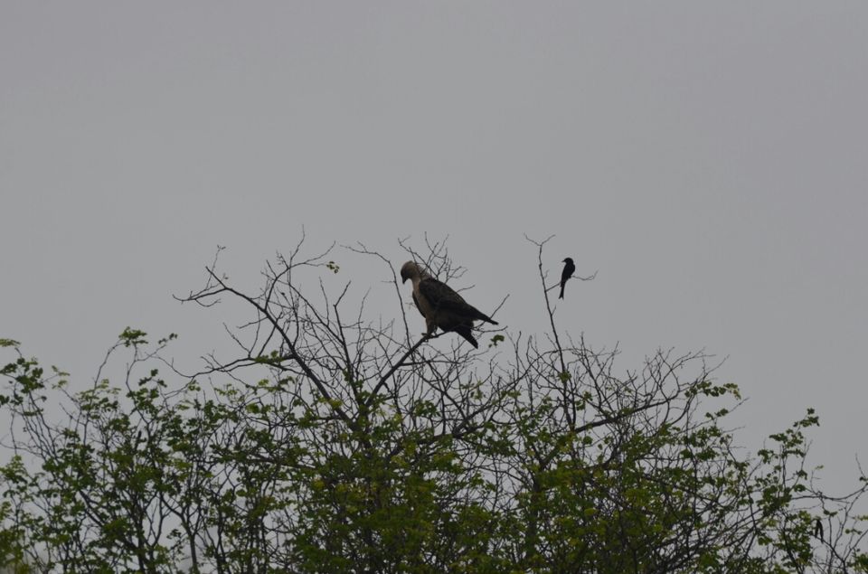 Photo of Kruger Park, Mpumalanga, South Africa by Jeroen Borst