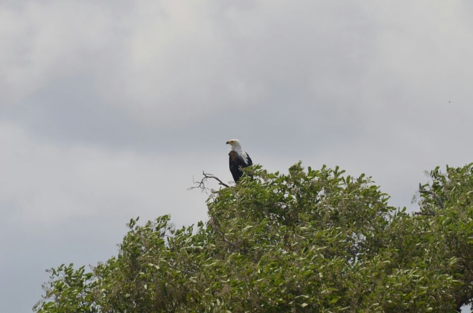 Photo of Kruger Park, Mpumalanga, South Africa by Jeroen Borst