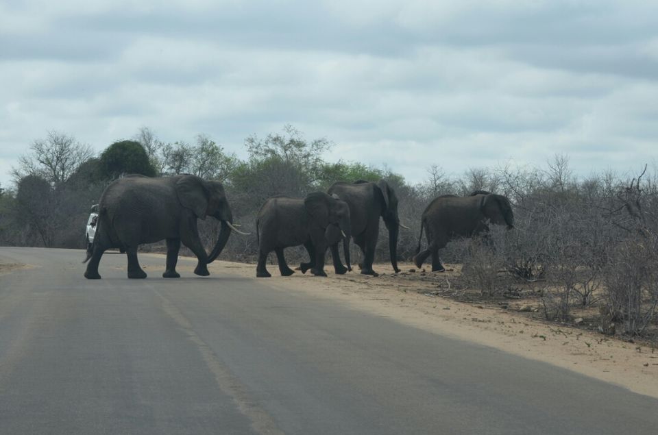 Photo of Kruger Park, Mpumalanga, South Africa by Jeroen Borst