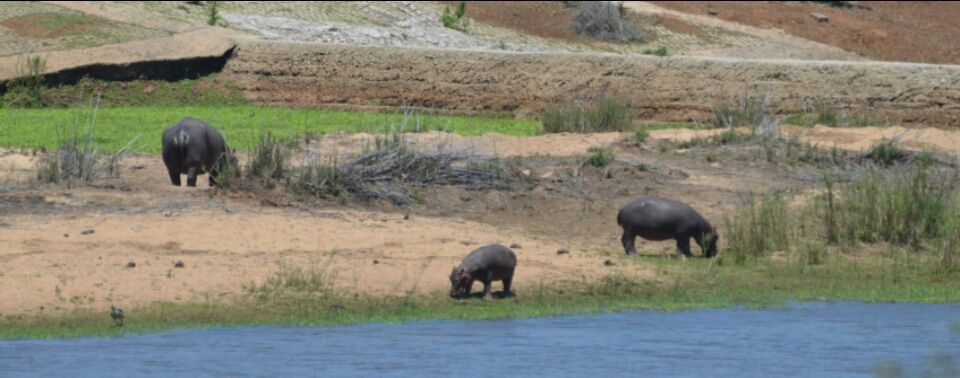 Photo of Kruger Park, Mpumalanga, South Africa by Jeroen Borst