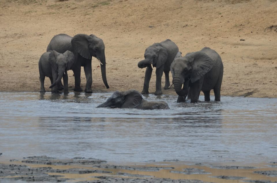 Photo of Short (4th) day at Kruger Park by Jeroen Borst