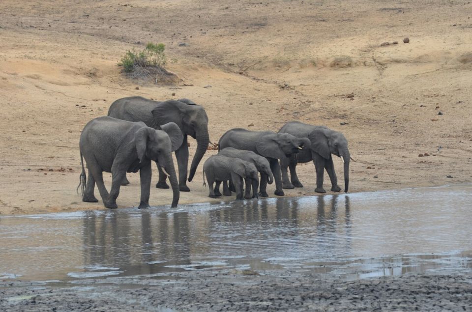 Photo of Short (4th) day at Kruger Park by Jeroen Borst