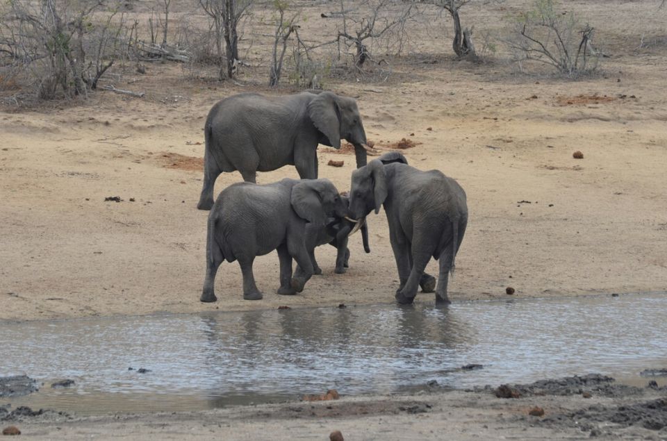 Photo of Short (4th) day at Kruger Park by Jeroen Borst
