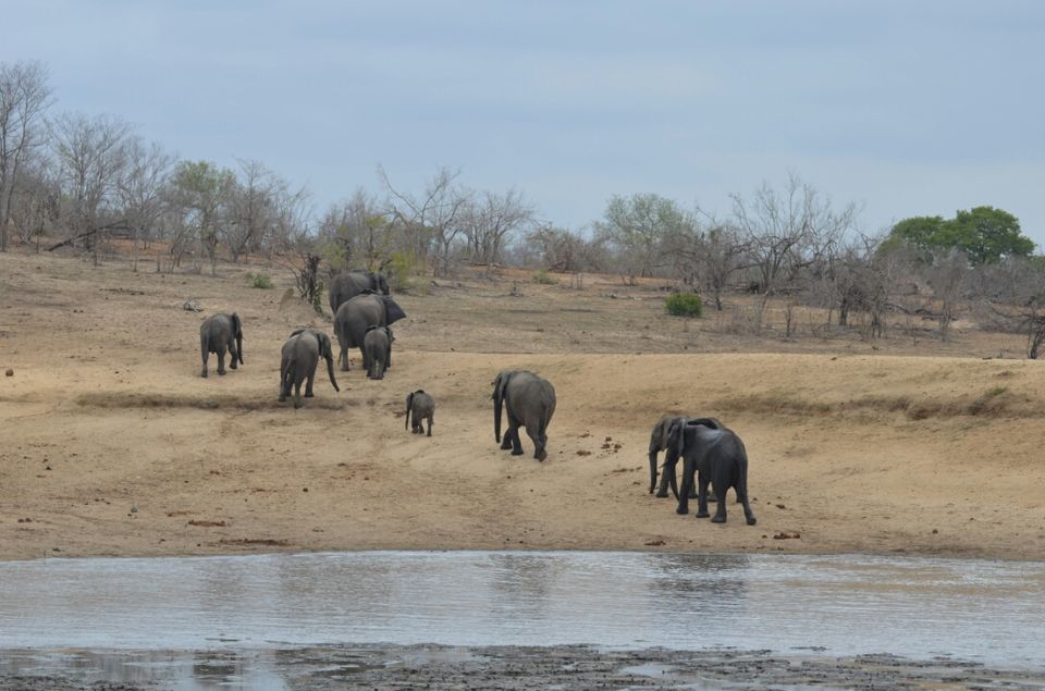 Photo of Short (4th) day at Kruger Park by Jeroen Borst