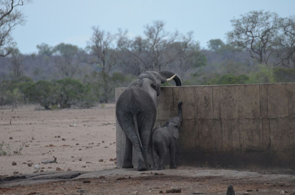 Photo of 5 nights in Kruger Park (Day 6-11) by Jeroen Borst