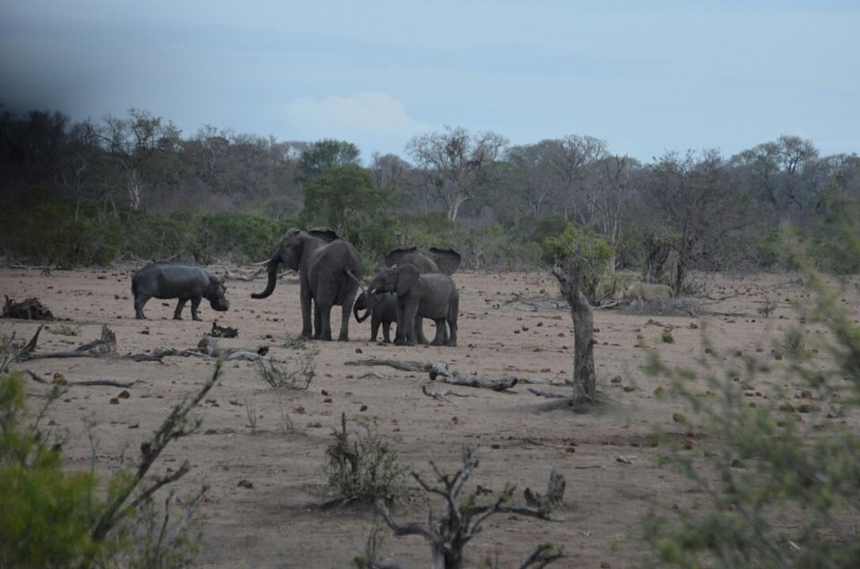 Photo of 5 nights in Kruger Park (Day 6-11) by Jeroen Borst