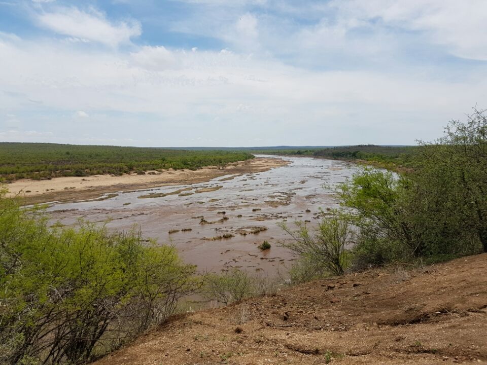 Photo of 5 nights in Kruger Park (Day 6-11) by Jeroen Borst