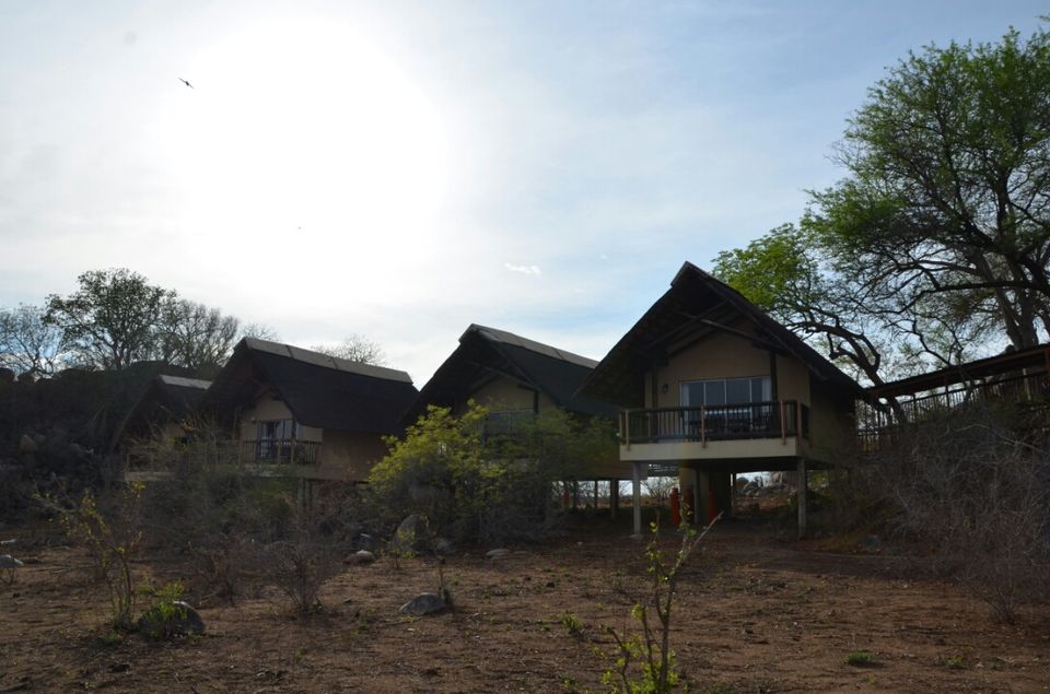 Photo of 5 nights in Kruger Park (Day 6-11) by Jeroen Borst