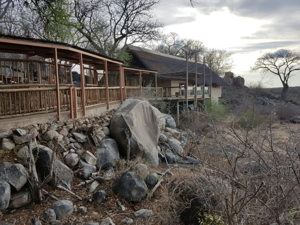 Photo of 5 nights in Kruger Park (Day 6-11) by Jeroen Borst