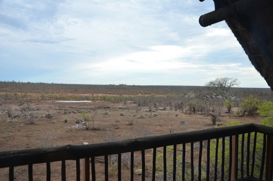 Photo of 5 nights in Kruger Park (Day 6-11) by Jeroen Borst