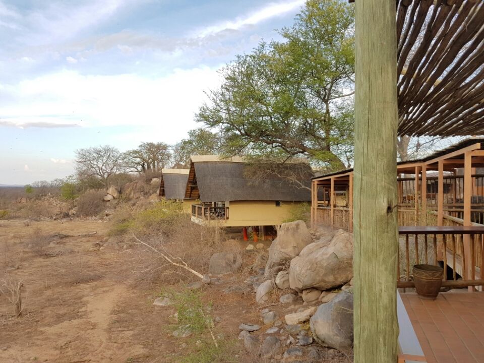 Photo of 5 nights in Kruger Park (Day 6-11) by Jeroen Borst
