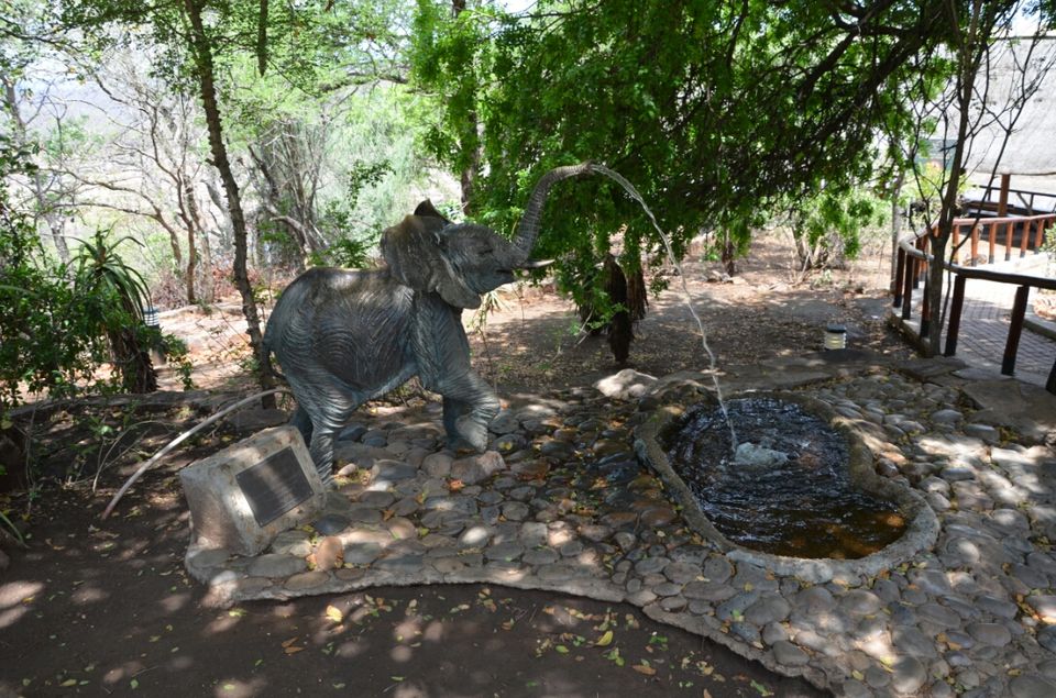 Photo of 5 nights in Kruger Park (Day 6-11) by Jeroen Borst