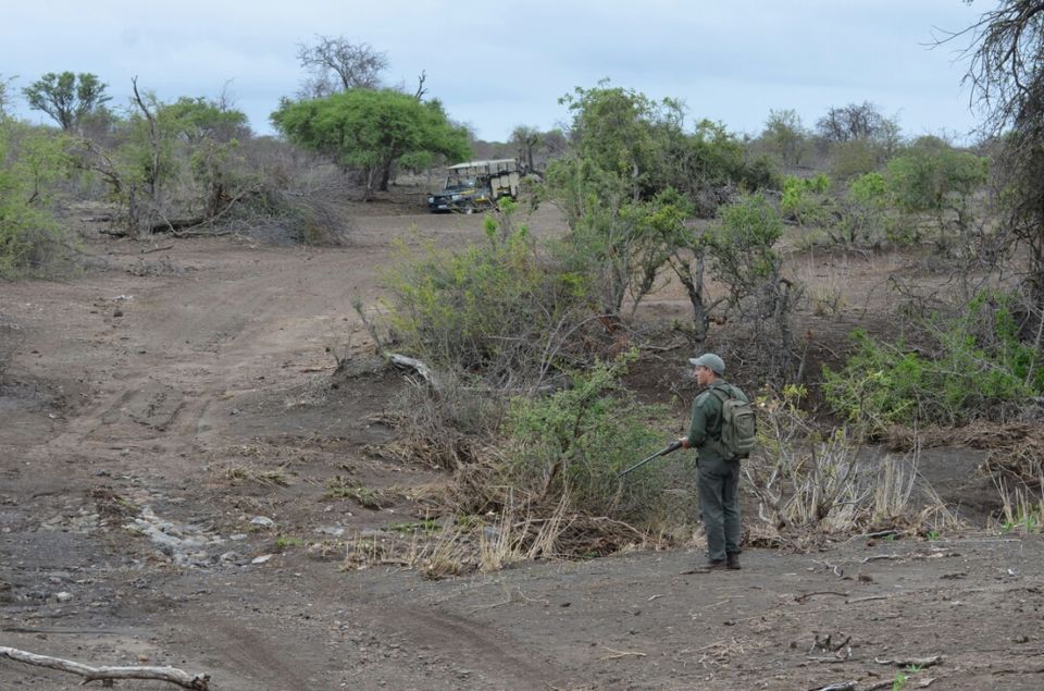 Photo of 5 nights in Kruger Park (Day 6-11) by Jeroen Borst