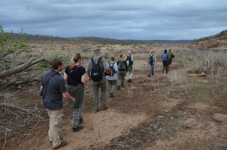 Photo of 5 nights in Kruger Park (Day 6-11) by Jeroen Borst