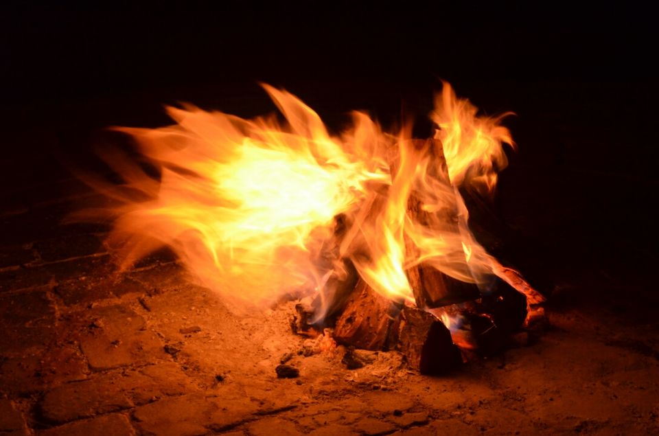 Photo of 5 nights in Kruger Park (Day 6-11) by Jeroen Borst
