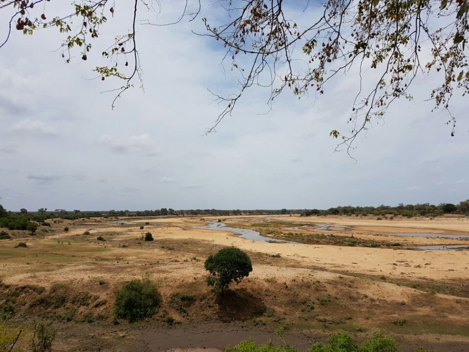 Photo of 5 nights in Kruger Park (Day 6-11) by Jeroen Borst