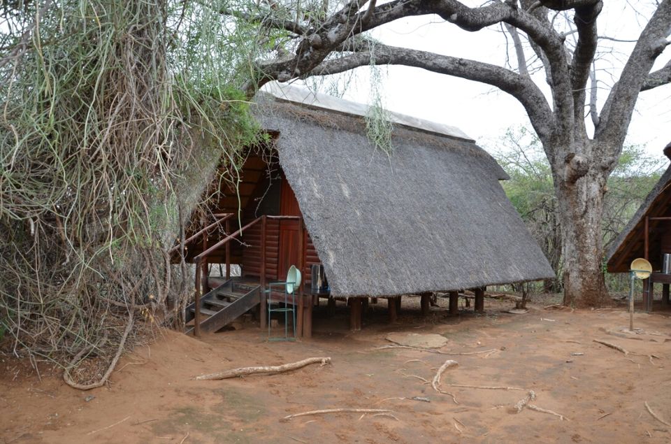 Photo of 5 nights in Kruger Park (Day 6-11) by Jeroen Borst