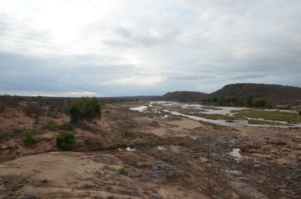 Photo of 5 nights in Kruger Park (Day 6-11) by Jeroen Borst