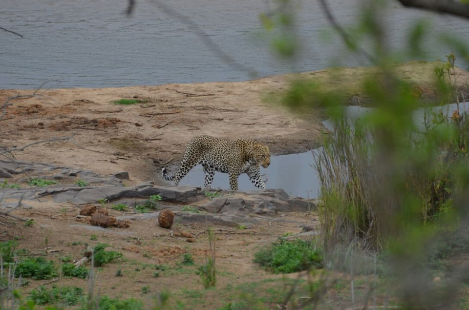 Photo of Kruger Park (Day 12 & 13) by Jeroen Borst