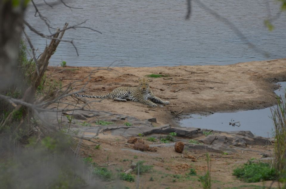 Photo of Kruger Park (Day 12 & 13) by Jeroen Borst