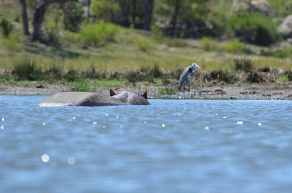 Photo of Kruger Park (Day 12 & 13) by Jeroen Borst
