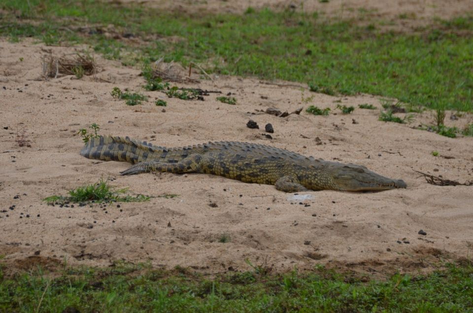 Photo of Kruger Park (Day 12 & 13) by Jeroen Borst