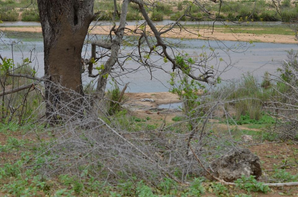 Photo of Kruger Park (Day 12 & 13) by Jeroen Borst
