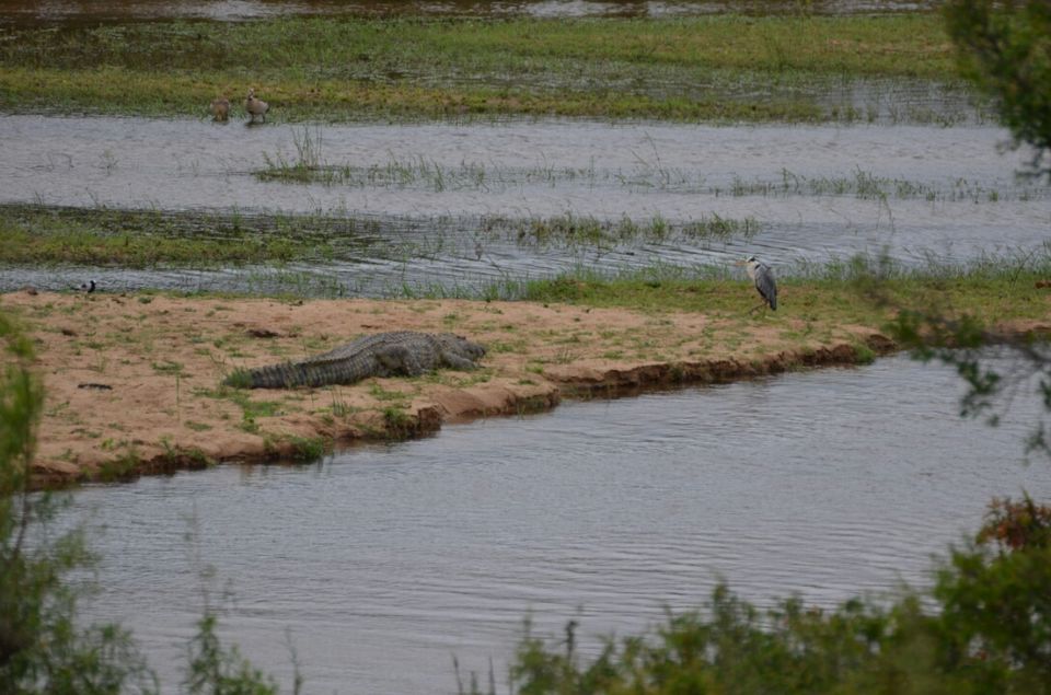 Photo of Kruger Park (Day 12 & 13) by Jeroen Borst