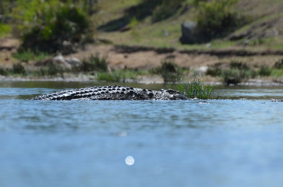 Photo of Kruger Park (Day 12 & 13) by Jeroen Borst